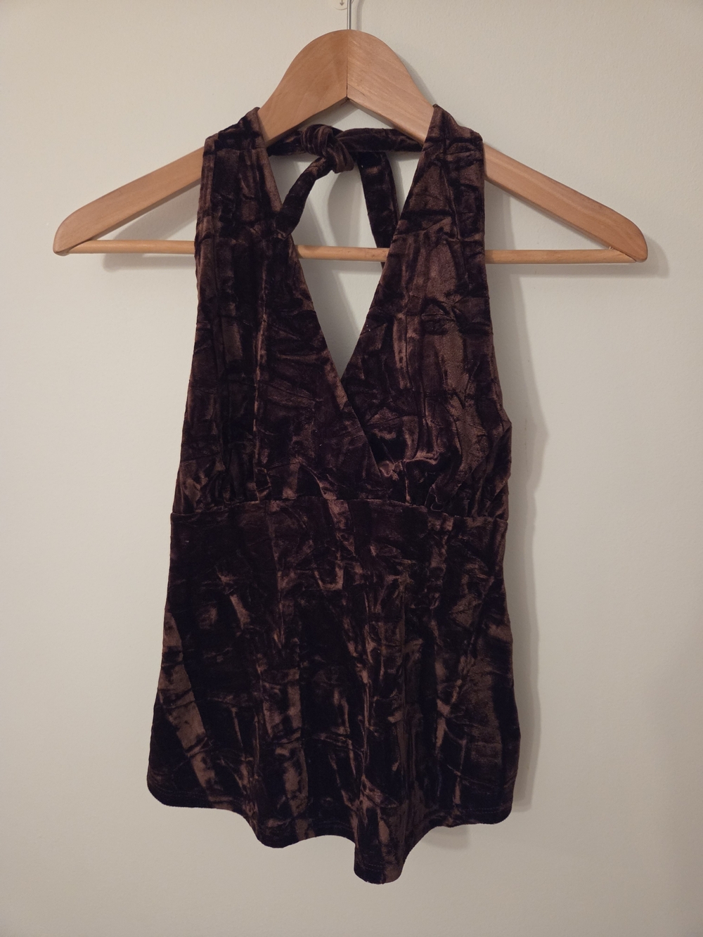 Le Château Velvet Halter V-Neck Camisole in Dark Brown